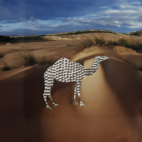 CAMEL BOOKMARK